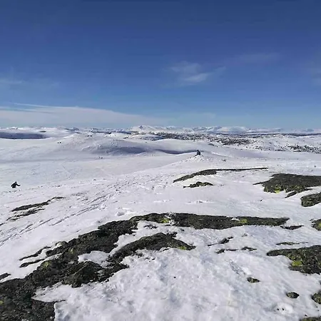 Hoyfjellshytte I Valdres Med Panoramautsikt Reinli
