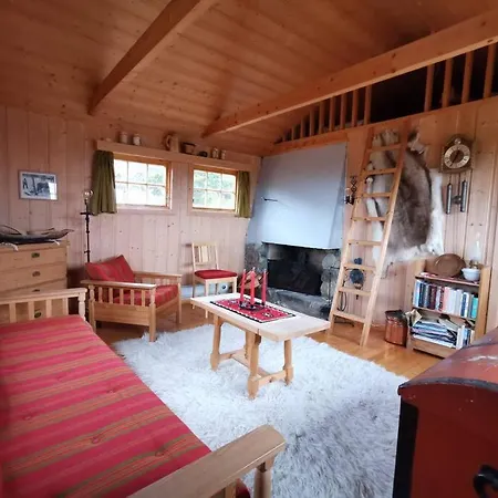 Vakantiehuis Hoyfjellshytte I Valdres Med Panoramautsikt