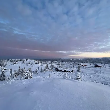 Hoyfjellshytte I Valdres Med Panoramautsikt Reinli