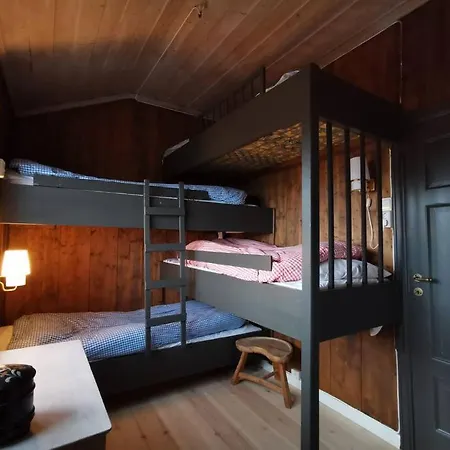 Hoyfjellshytte I Valdres Med Panoramautsikt Reinli